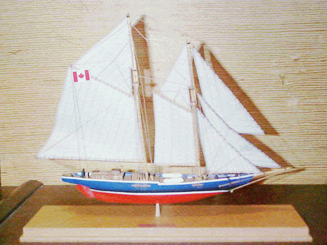 Bluenose klein